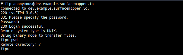 FTP anonymous login accepted on vsftpd 3.0.3