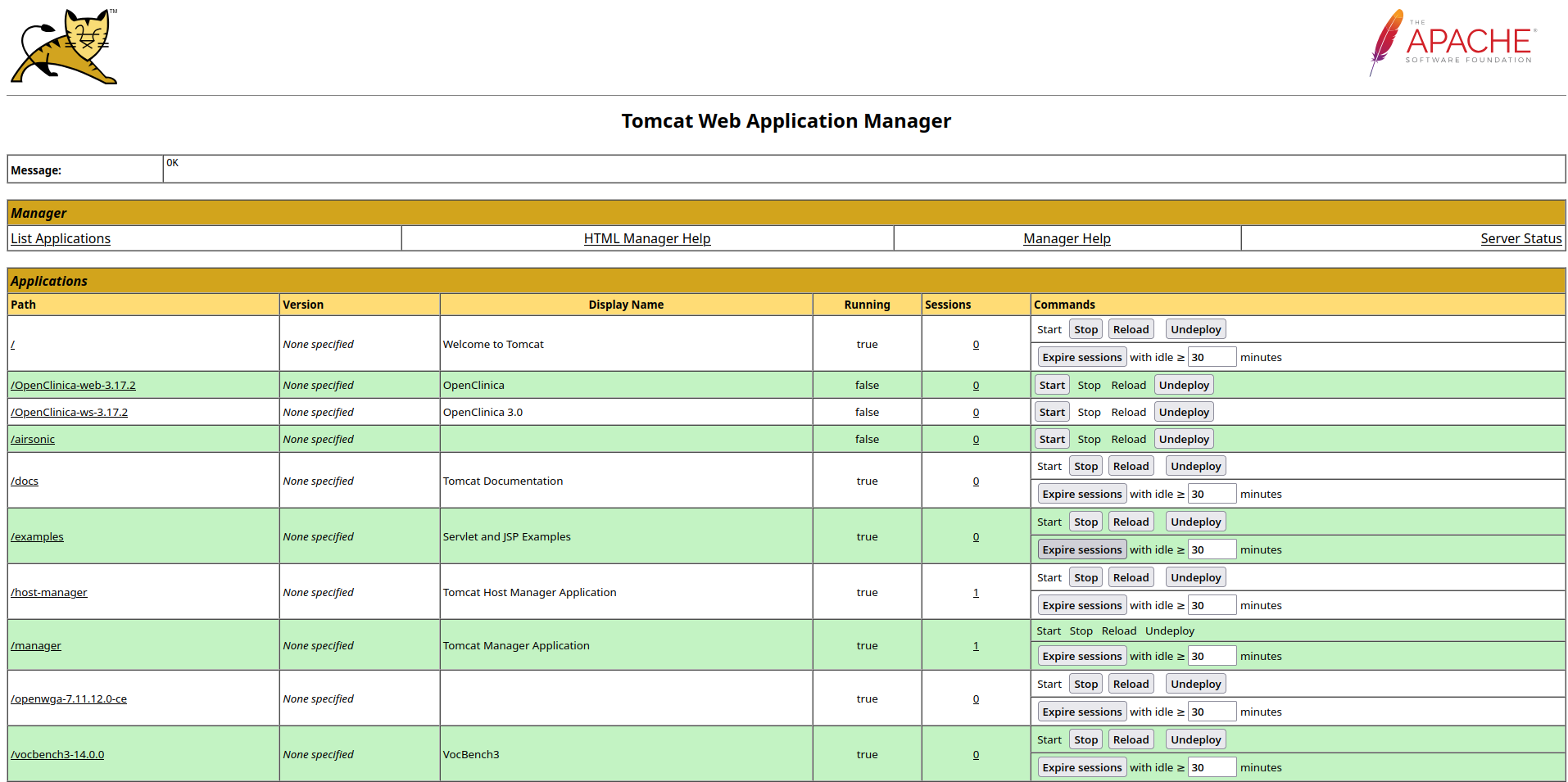 Apache Tomcat Web Application Manager authenticated with default credentials